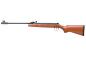 Preview: Luftgewehr DIANA two-forty | Druckluft Knicklauf